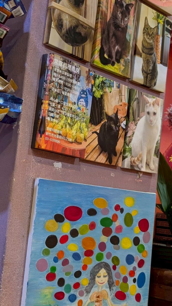 LINE ALBUM 2025.08.03 常嚐料理廚房 250804 19