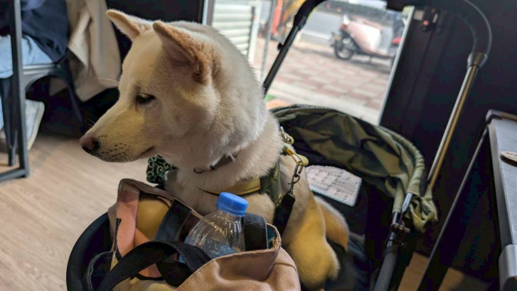 LINE ALBUM 2026122 260129 20