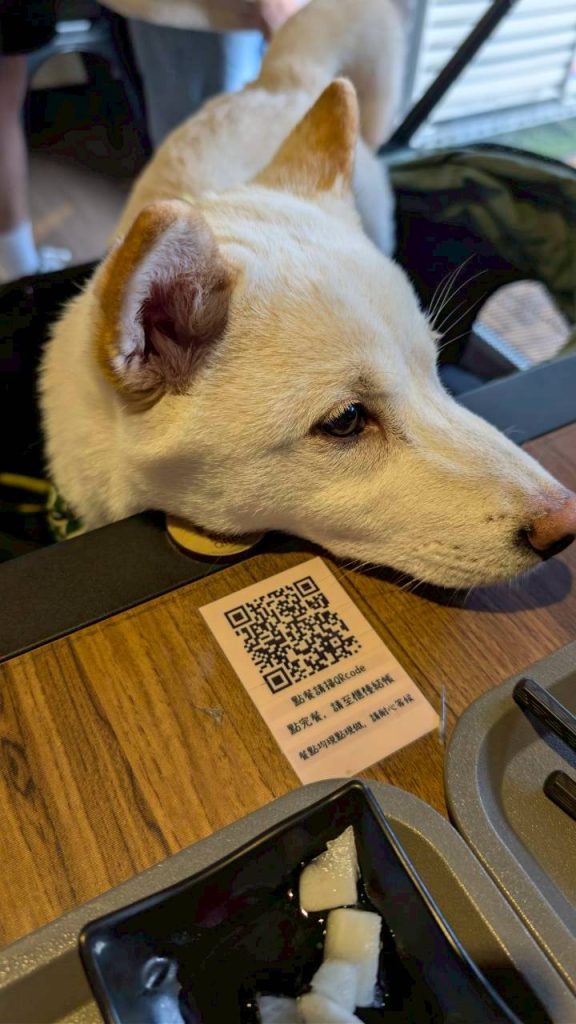 LINE ALBUM 2026122 260129 40