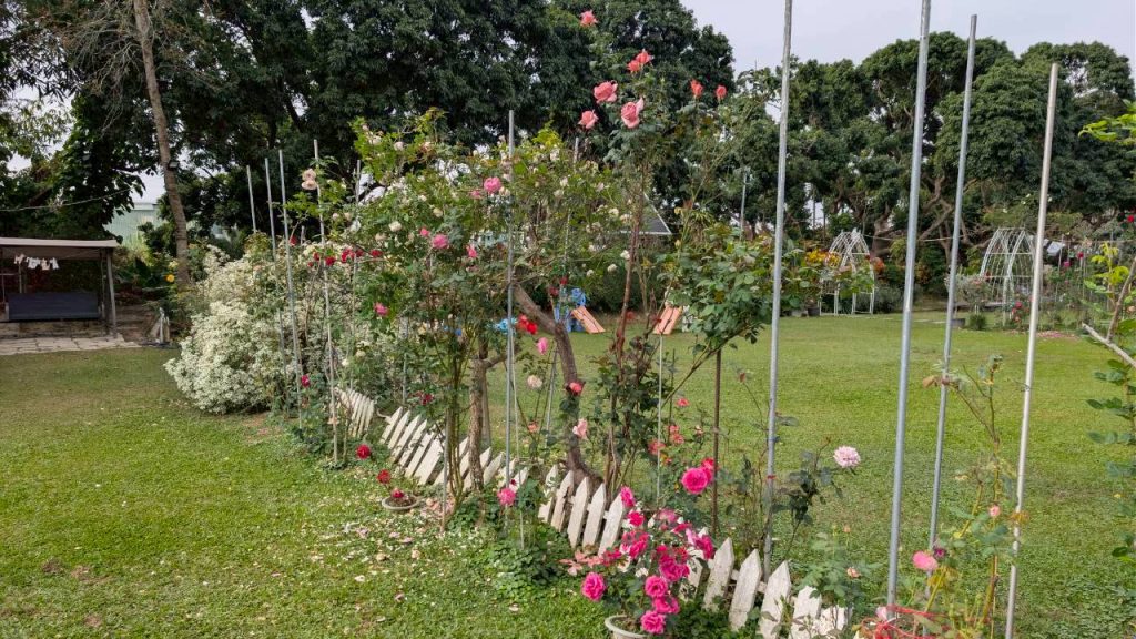 LINE ALBUM 2026212 260212 49 悅來居莊園 住宿環境