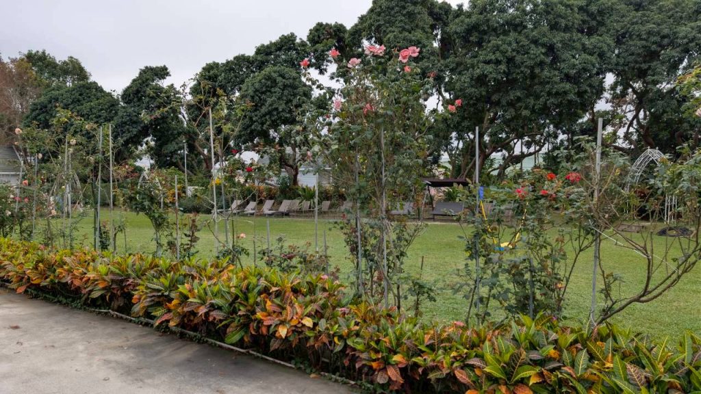 LINE ALBUM 2026212 260212 53 悅來居莊園 住宿環境