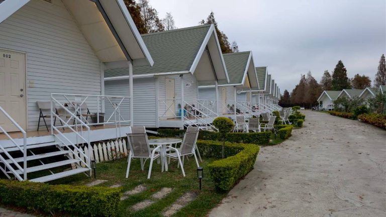 LINE ALBUM 2026212 260212 54