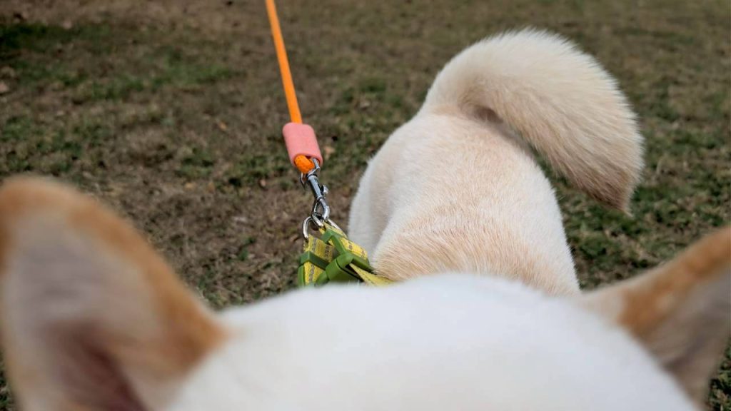 LINE ALBUM 2026223 260223 10