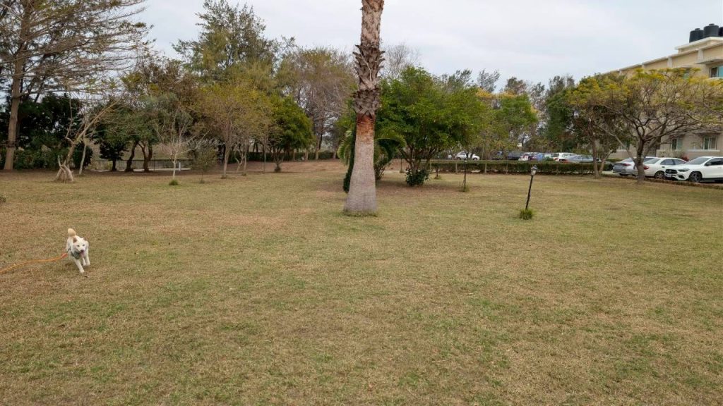 LINE ALBUM 2026223 260223 11