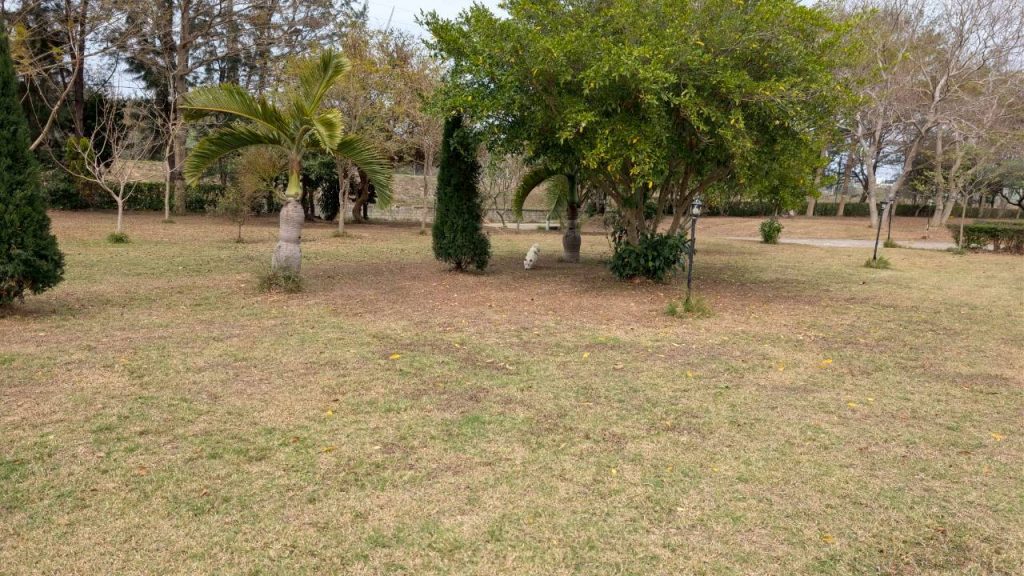 LINE ALBUM 2026223 260223 15