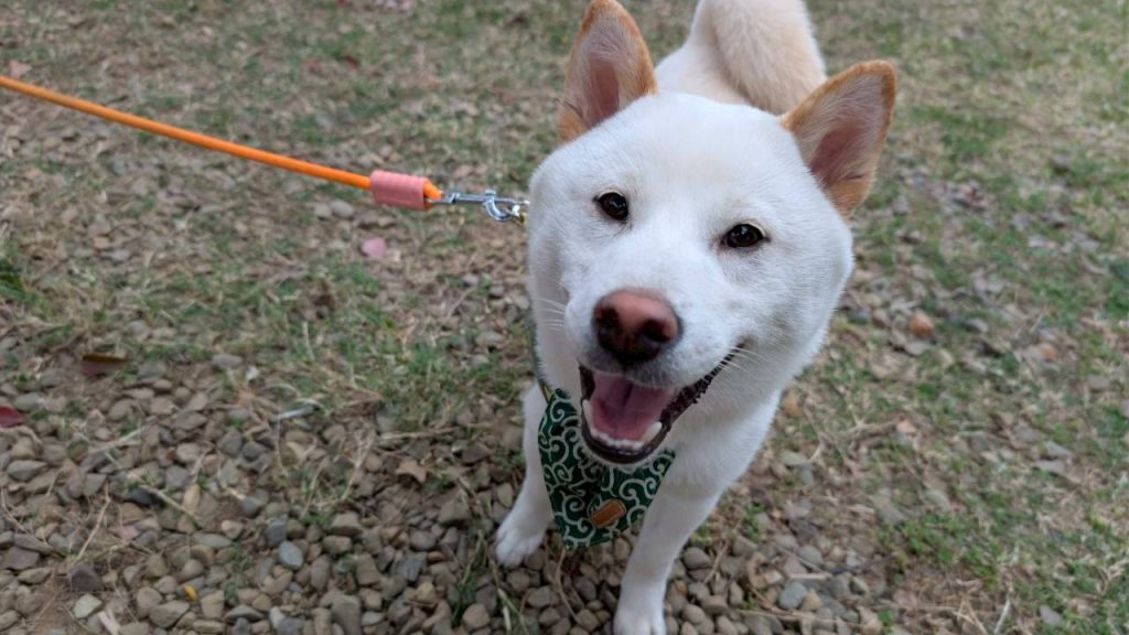 LINE ALBUM 2026223 260223 3