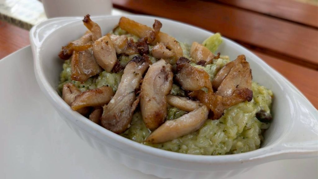 LINE ALBUM 2026223 260223 4