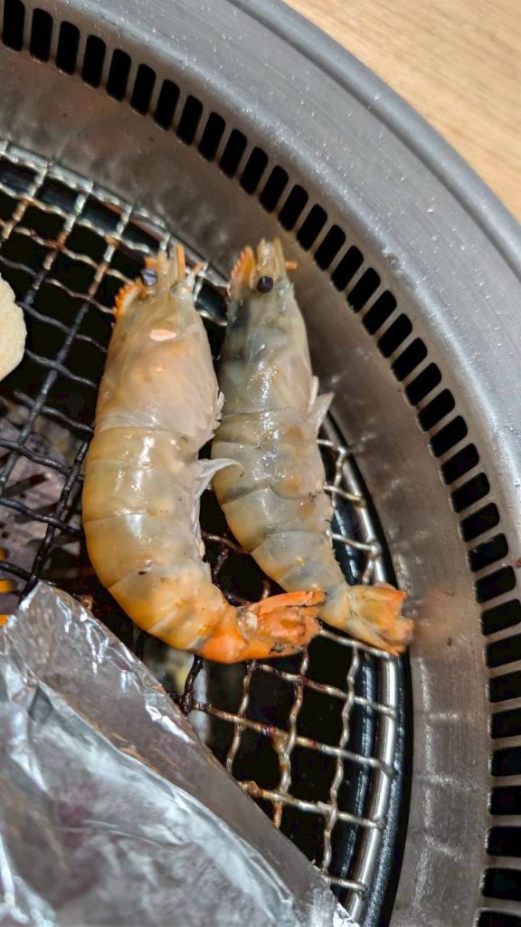 LINE ALBUM 202632 260302 35